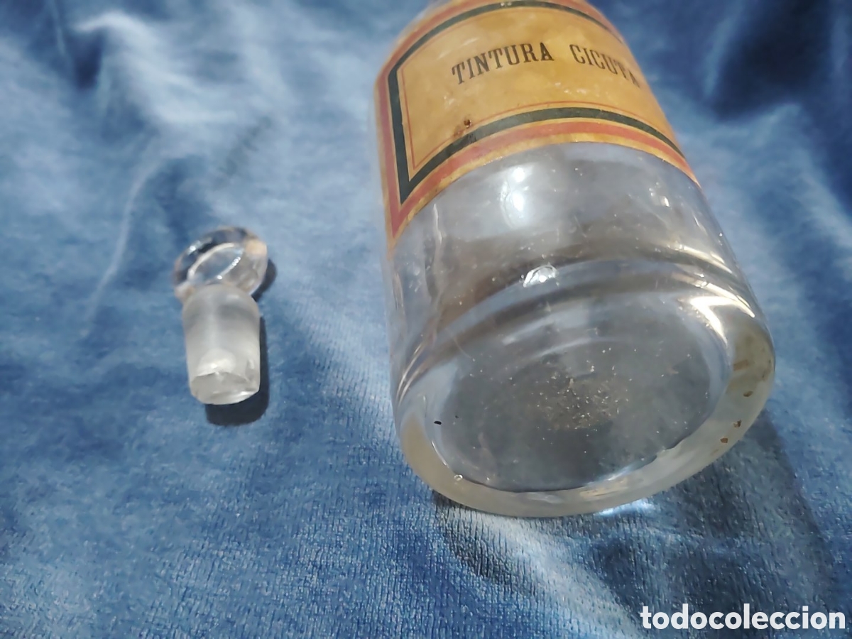 Antig&uuml;edades: Tarro de farmacia, para Tintura Bele&ntilde;o.Con tap&oacute;n y pegatina. Principios S XX. Perfecto estado.
