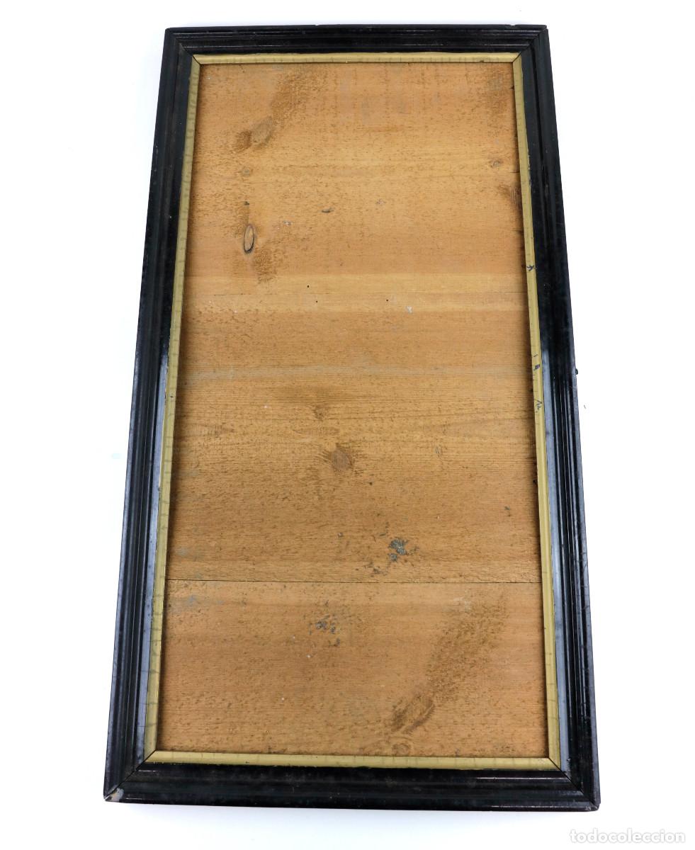 Antig&uuml;edades: marco media ca&ntilde;a s.XIX. Pasta y madera. Exterior: 34x62cm.