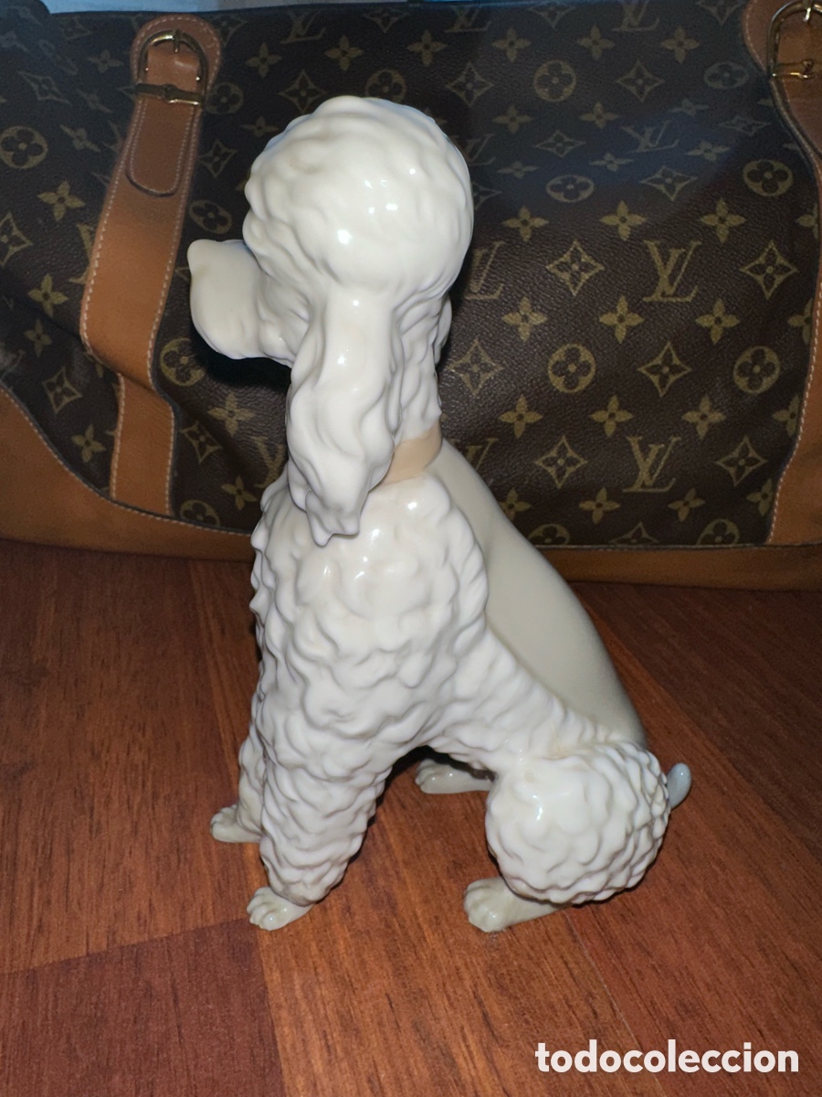 Antig&uuml;edades: Perro de porcelana Caniche de Lladr&oacute; - Foto 3