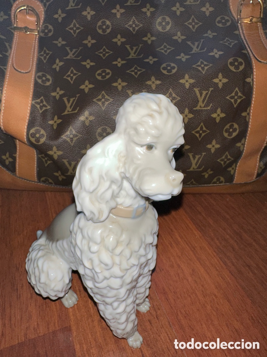 Antig&uuml;edades: Perro de porcelana Caniche de Lladr&oacute; - Foto 1