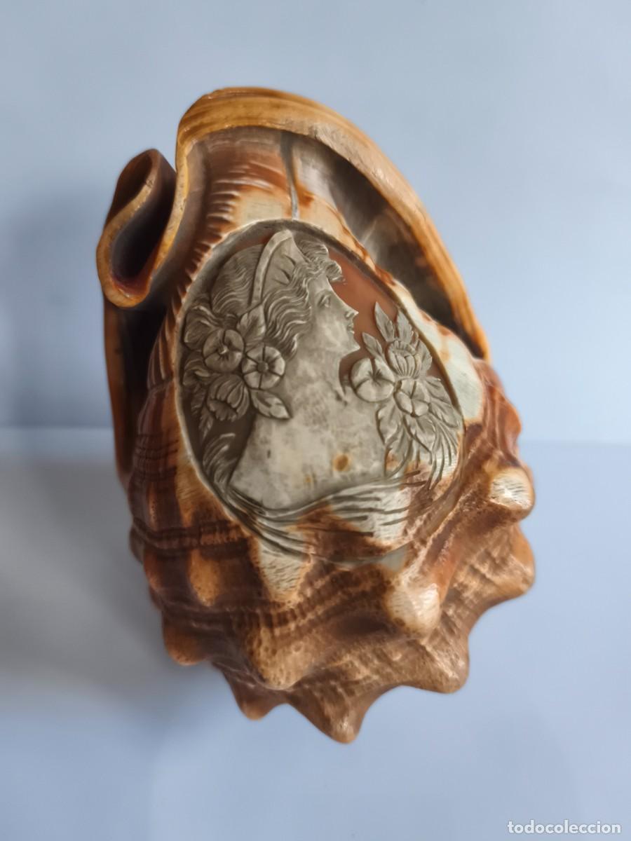 Antig&uuml;edades: Caracola tallada. Camafeo. Antiguo. S. XIX. Europa.