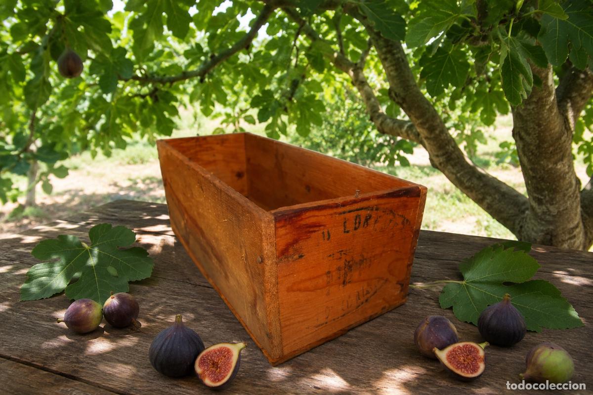 Antiguidades: Caja de madera, &rdquo;Higos secos LORENTE&rdquo;