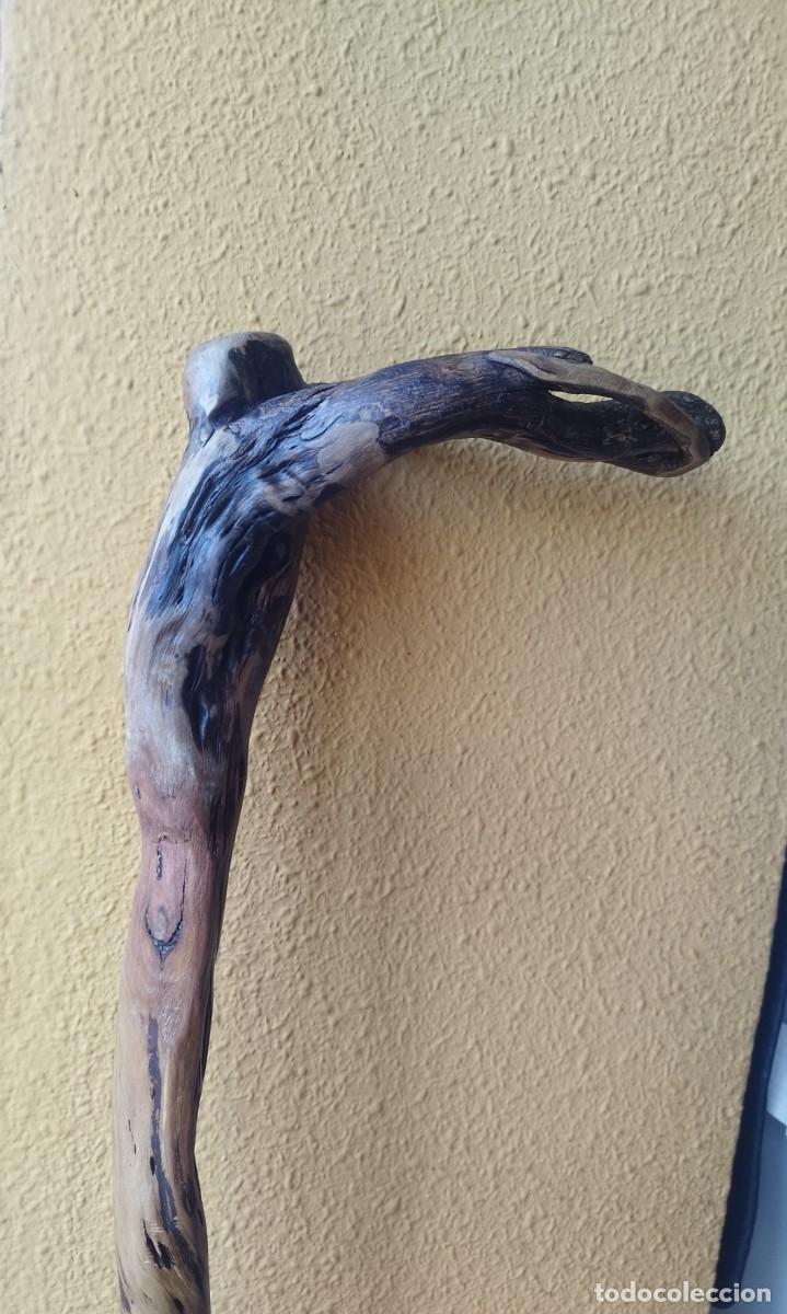 Antig&uuml;edades: BASTON DE MADERA DE JARA. UNICO. USO. DECORACI&Oacute;N. PIEZA ORIGINAL. ARTESANIA.