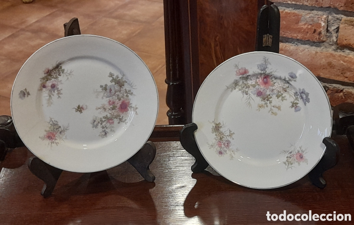Antiques: Pareja de platos llanos con decoraci&oacute;n floral