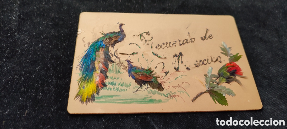 Antig&uuml;edades: Tarjeta de felicitaci&oacute;n hecha con plumas naturales con flor y pavos reales