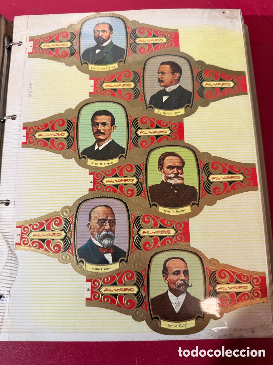 Antig&uuml;edades: Colecci&oacute;n 300 Vitolas Antiguas &Aacute;lvaro en &Aacute;lbum