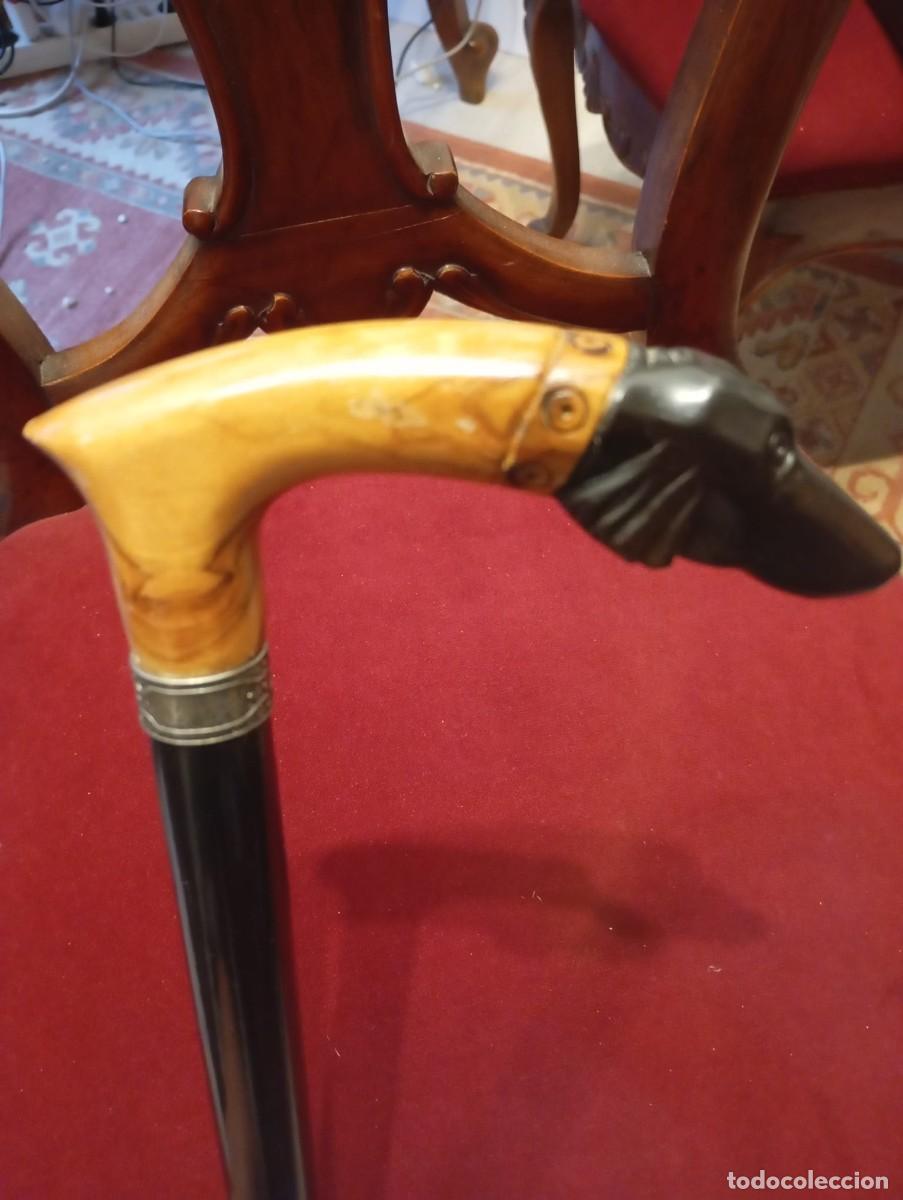 Antiquit&auml;ten: Elegante bast&oacute;n con empu&ntilde;adura en forma de cabeza de galgo.