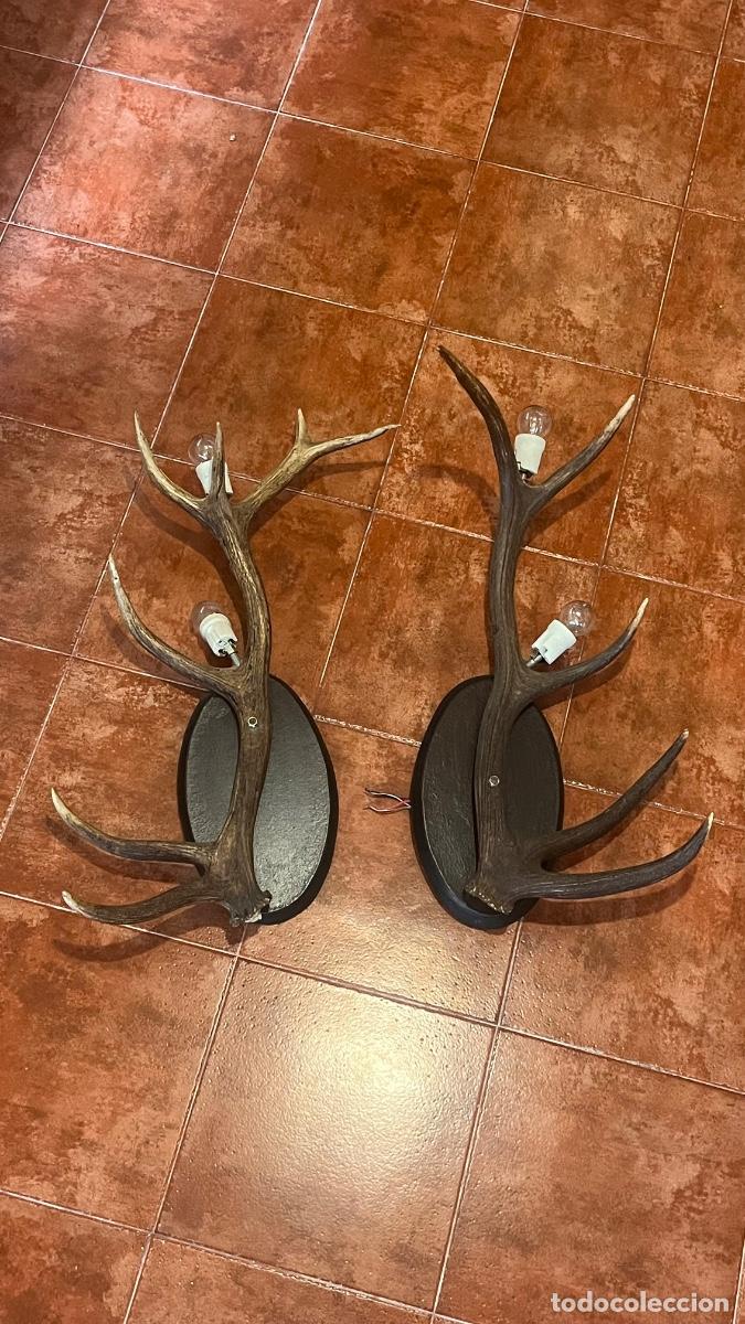 Antig&uuml;edades: cuernos caza ciervo venado gamo lampara con bombillas incorporadas decoraci&oacute;n taxidermia