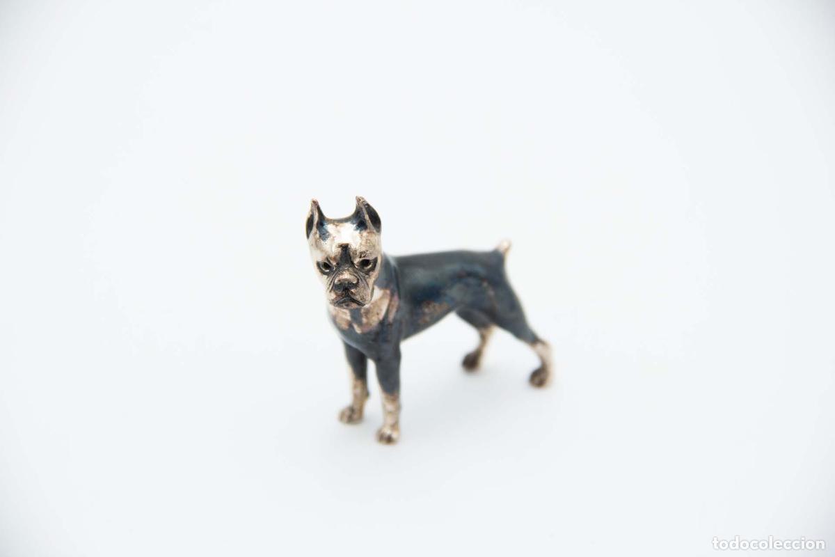 Antiquit&auml;ten: Perro b&oacute;xer, en plata