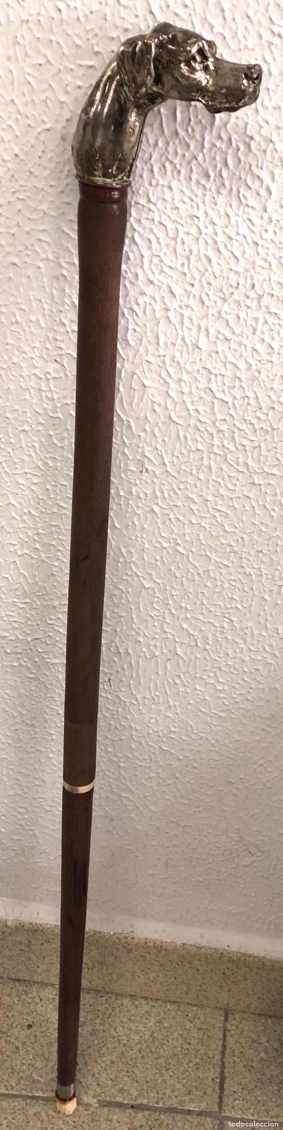 Antig&uuml;edades: BASTON DE MADERA CON EMPU&Ntilde;ADURA METALICA CABEZA DE PERRO. SIGLO XX