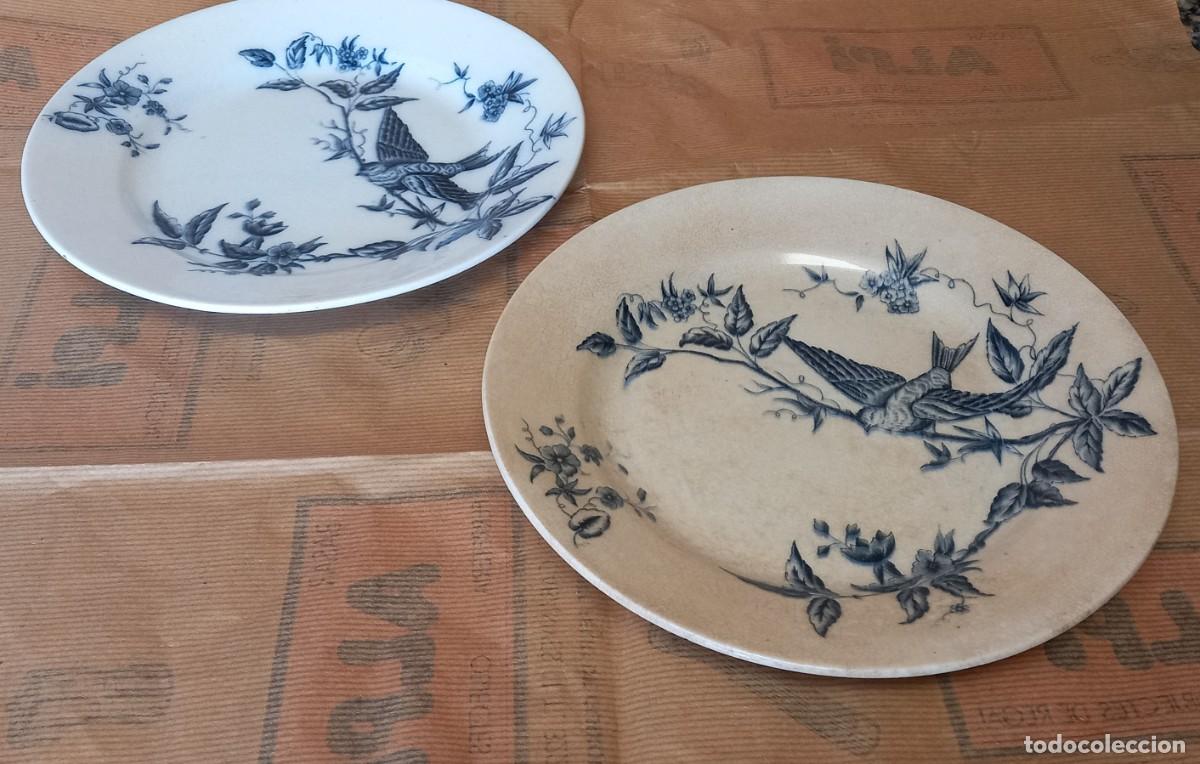 Antig&uuml;edades: Platos Sandeman Macdougall & Co. - Foto 1