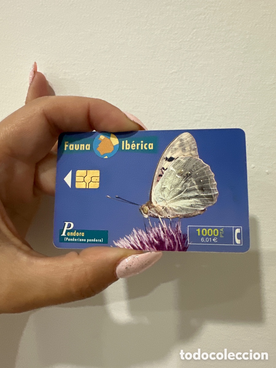 Antig&uuml;edades: Tarjeta telef&oacute;nica antigua en pta - Foto 2