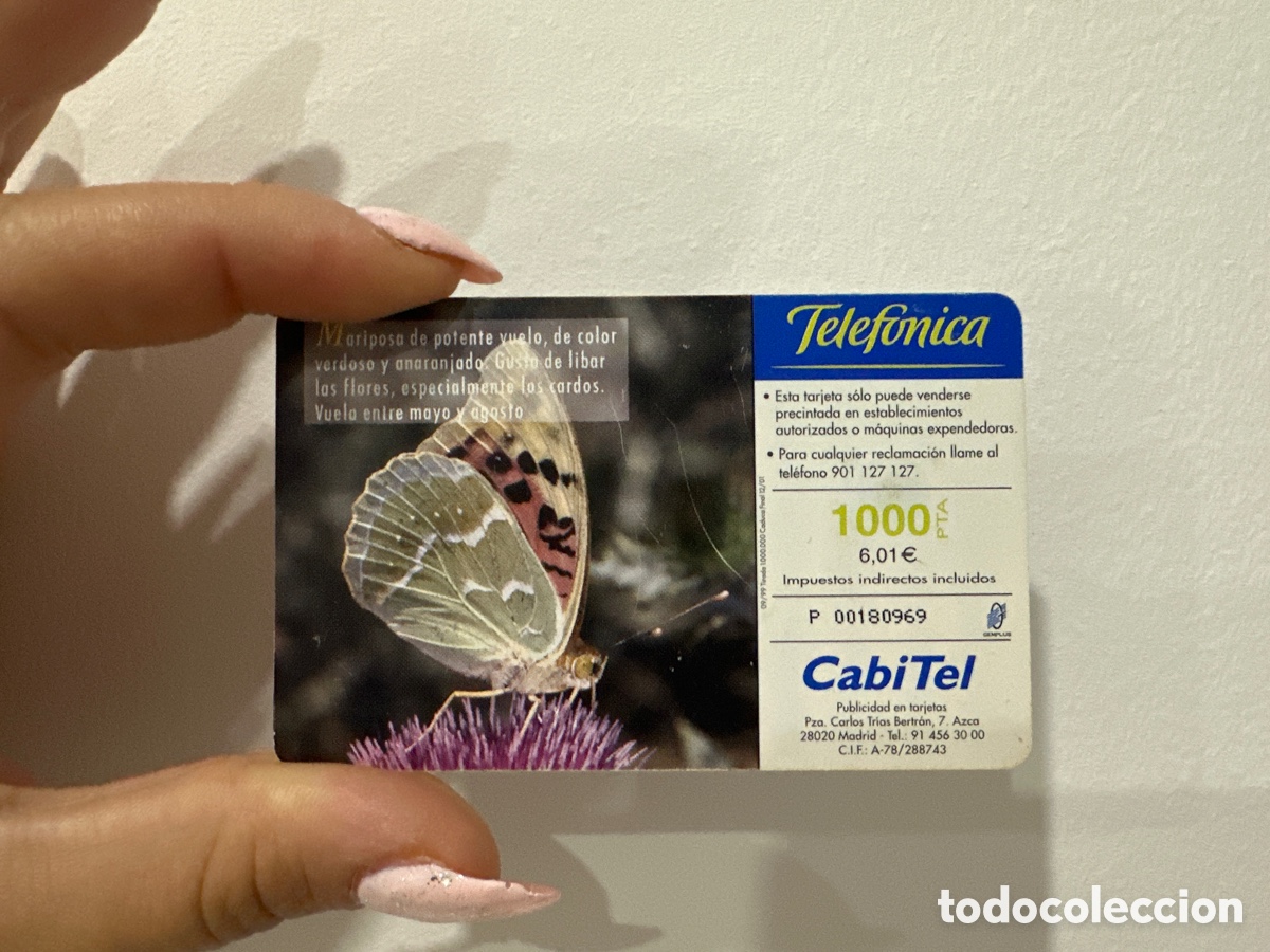 Antig&uuml;edades: Tarjeta telef&oacute;nica antigua en pta - Foto 1