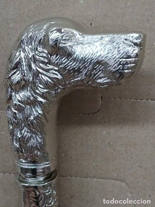 Antiquit&auml;ten: Elegante bast&oacute;n con mango con figura de cabeza de Setter. Metal plateado repujado.
