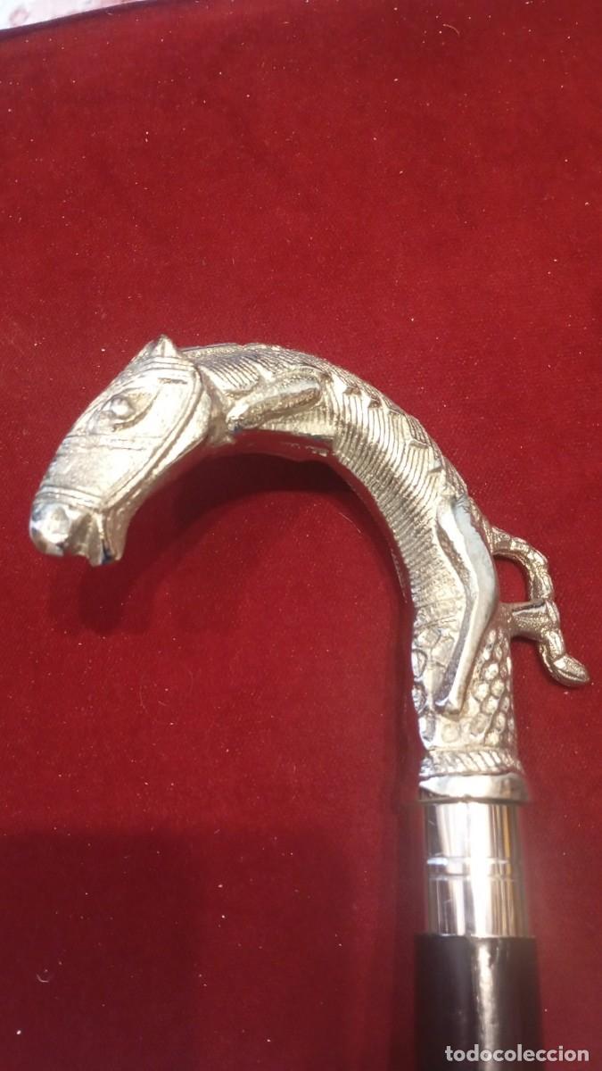 Antig&uuml;edades: Elegante bast&oacute;n con un distintivo mango en forma de cabeza de caballo.
