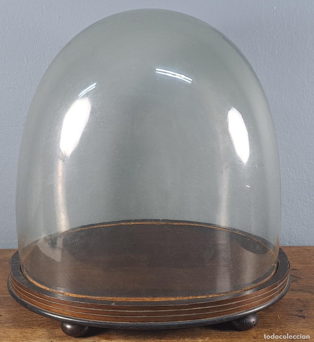 Antig&uuml;edades: Gran hornacina isabelina, siglo XIX