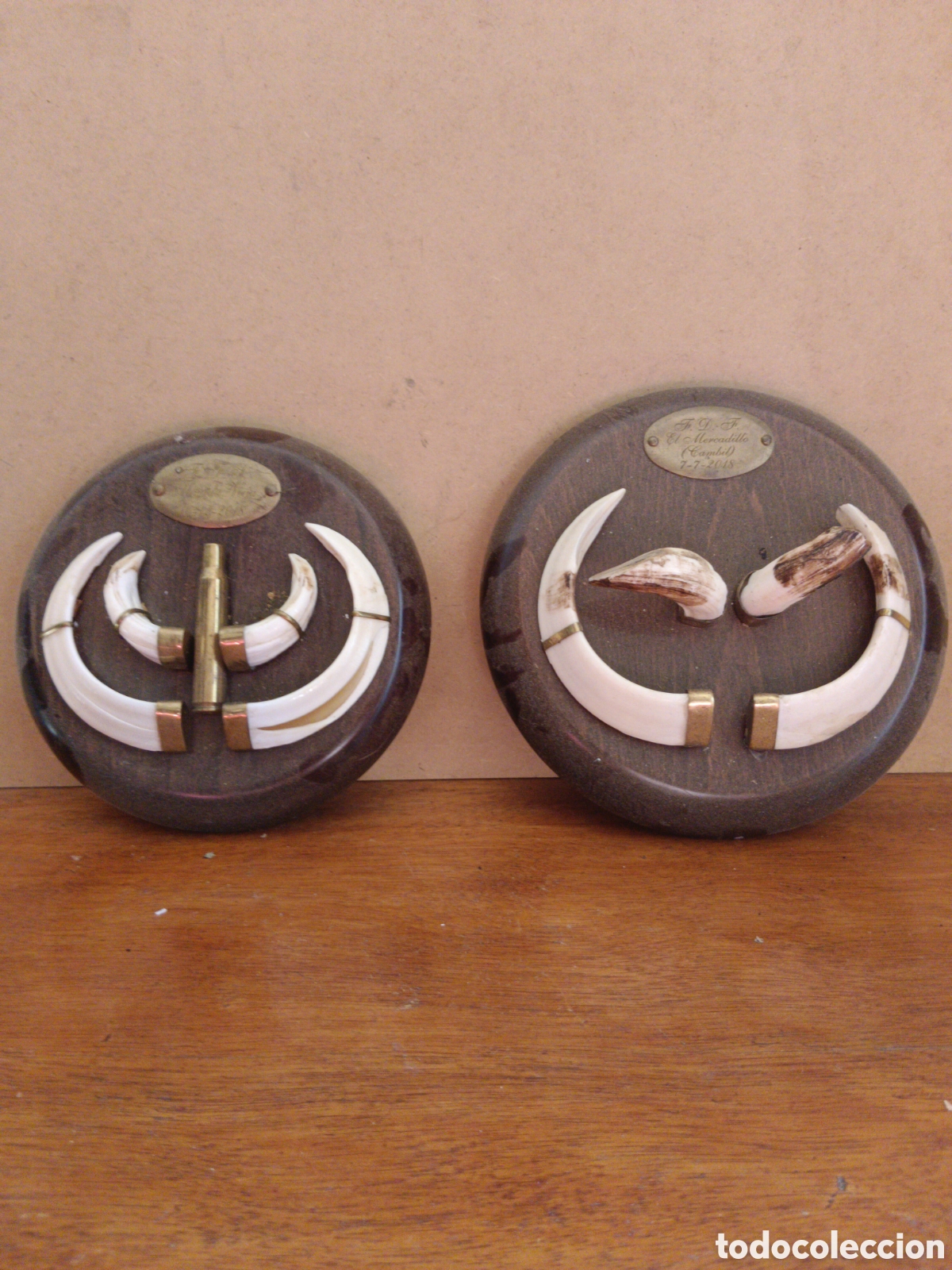 Antiques: Trofeos de grandes jabalies
