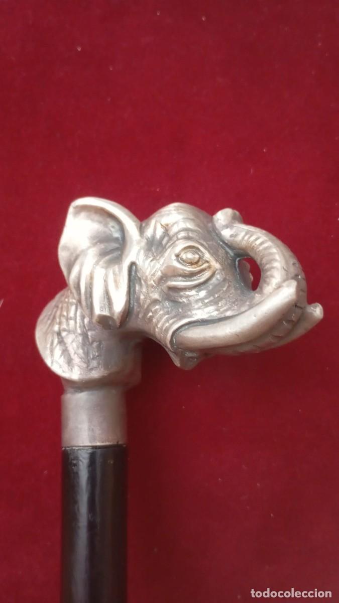 Antiquit&auml;ten: Elegante bast&oacute;n con preciosa empu&ntilde;adura de elefante de lat&oacute;n.