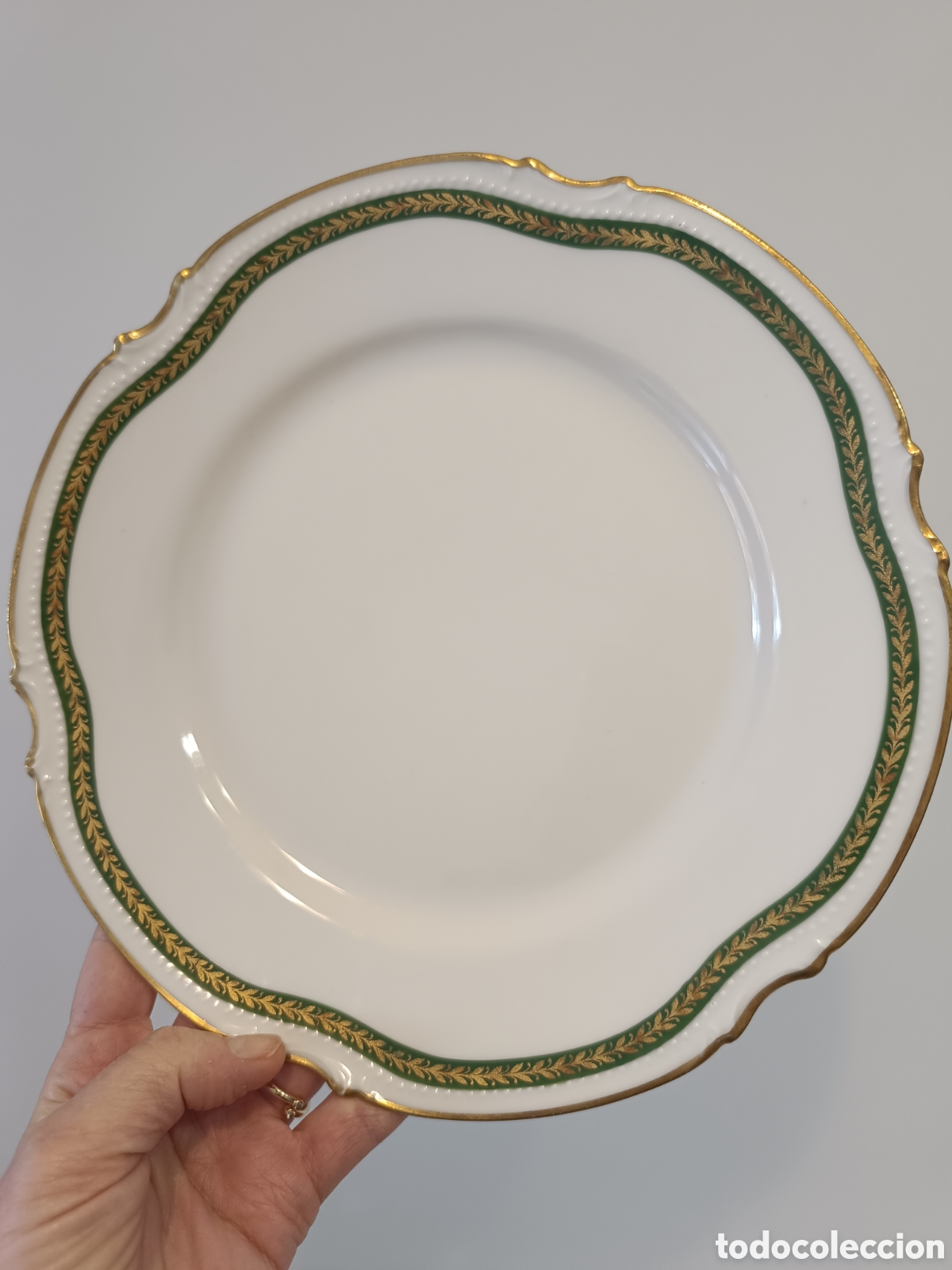 Antig&uuml;edades: 6 platos llanos Limoges Mandavy de Manvaleix