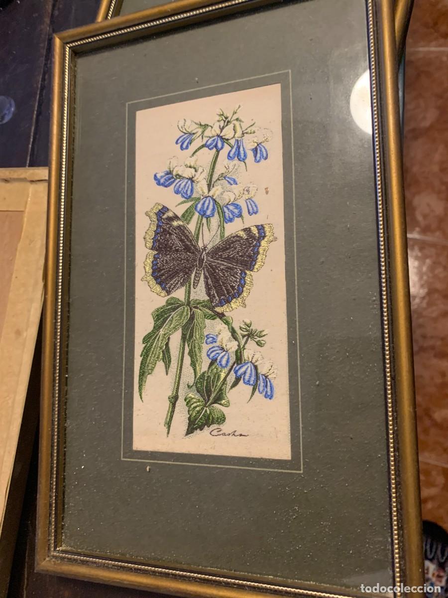 Antig&uuml;edades: Cash's of Coventry Woven Silk Picture - Butterflies and Flowers - Red Admiral