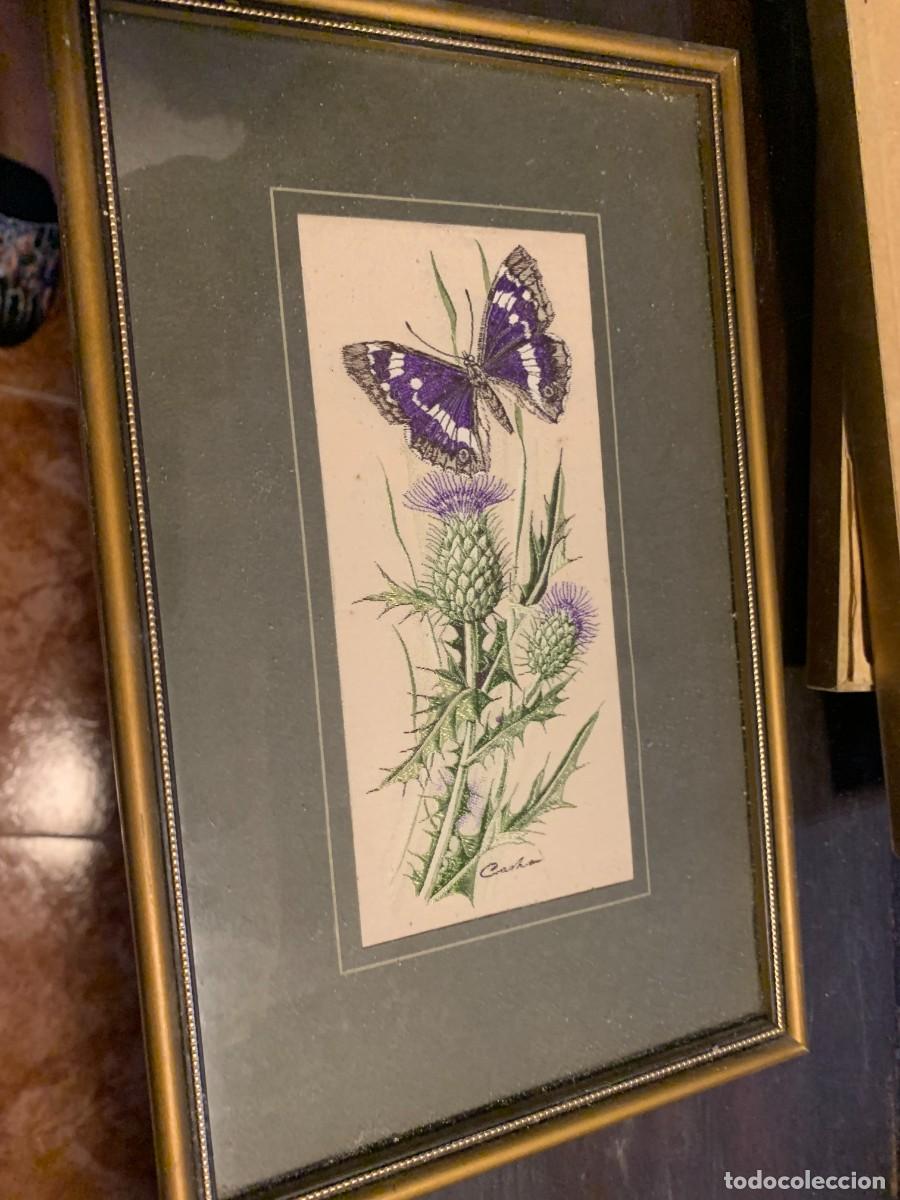 Antig&uuml;edades: Cash's of Coventry Woven Silk Picture - Butterflies and Flowers - Red Admiral