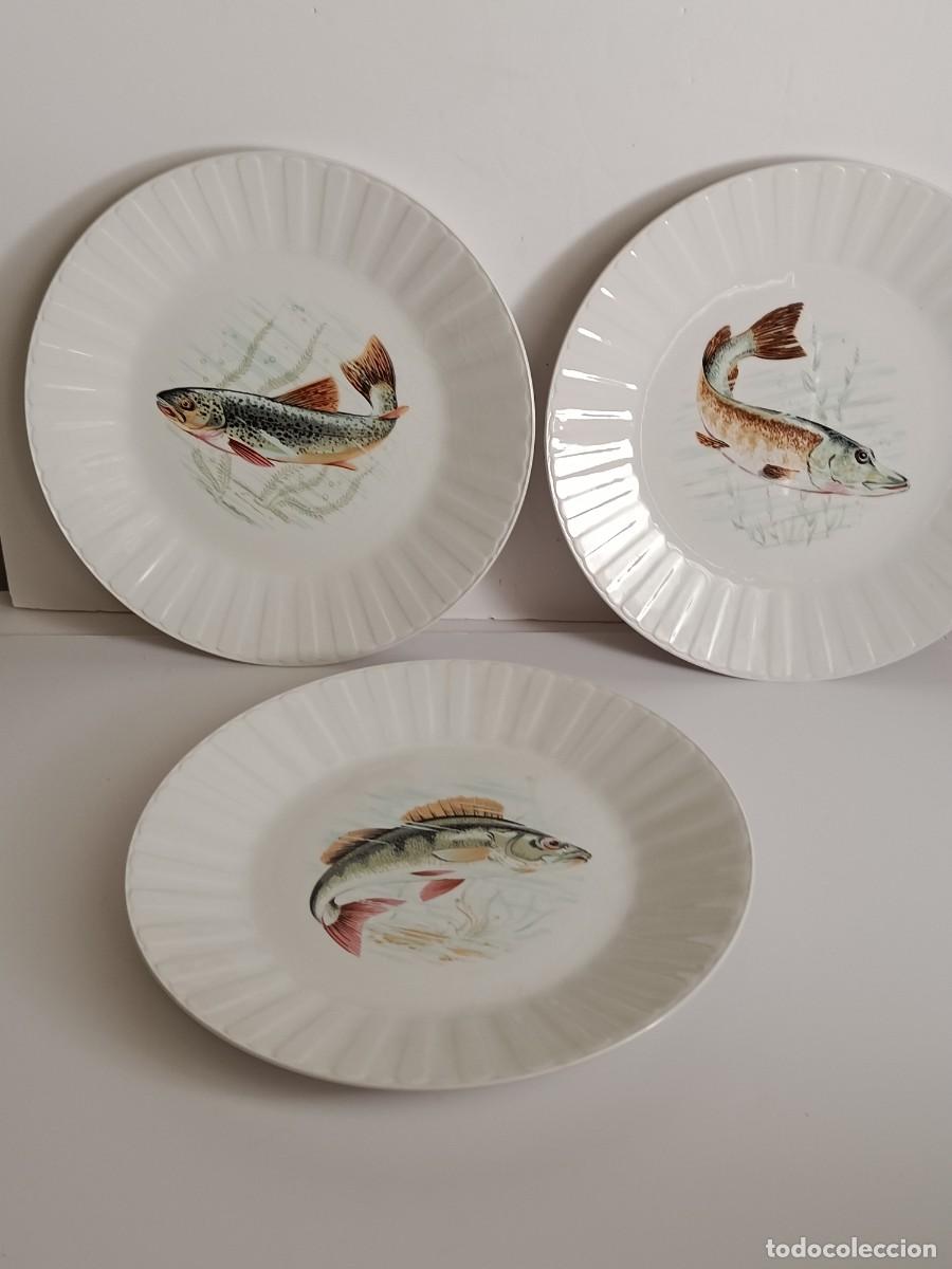 Antig&uuml;edades: TRES PLATOS DE PORCELANA. PORCELANIT MADE IN SPAIN. PECES