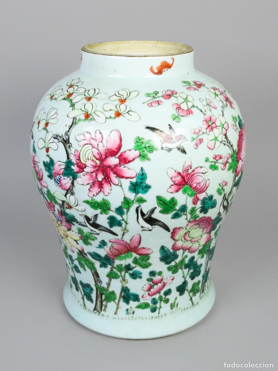 Antiguidades: Jarr&oacute;n porcelana china Familia Rosa Dinast&iacute;a Qing decorado con Peon&iacute;as en flor siglo XIX