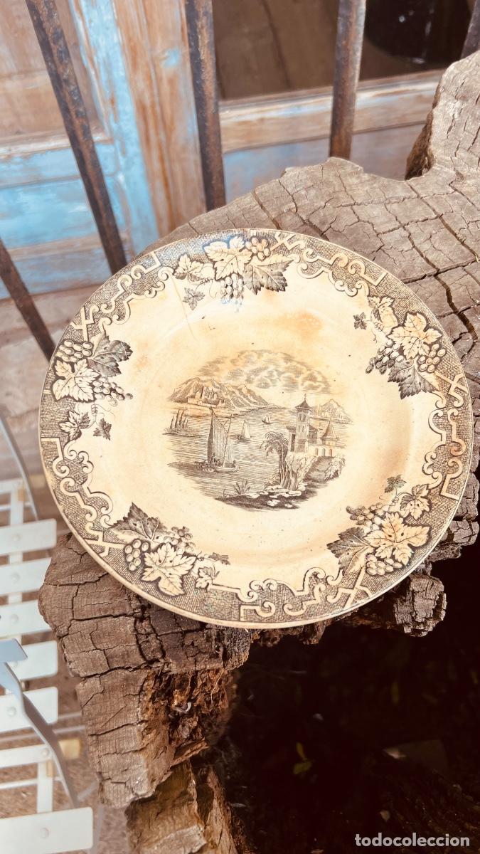 Antig&uuml;edades: Plato loza Madrid Valdemorillo Falc&oacute; vista Marina uvas 21,5cms