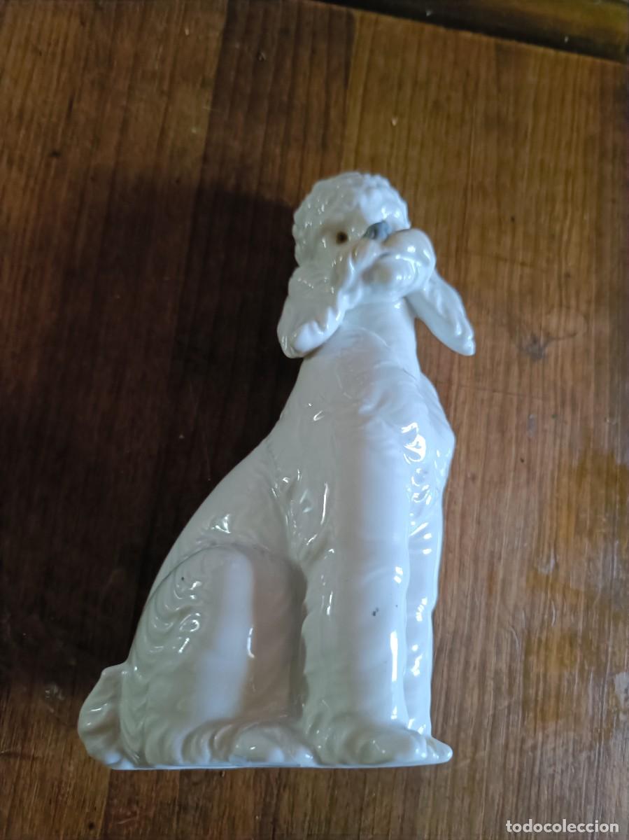 Antig&uuml;edades: PERRO CANICHE PORCELANA NAO LLADRO