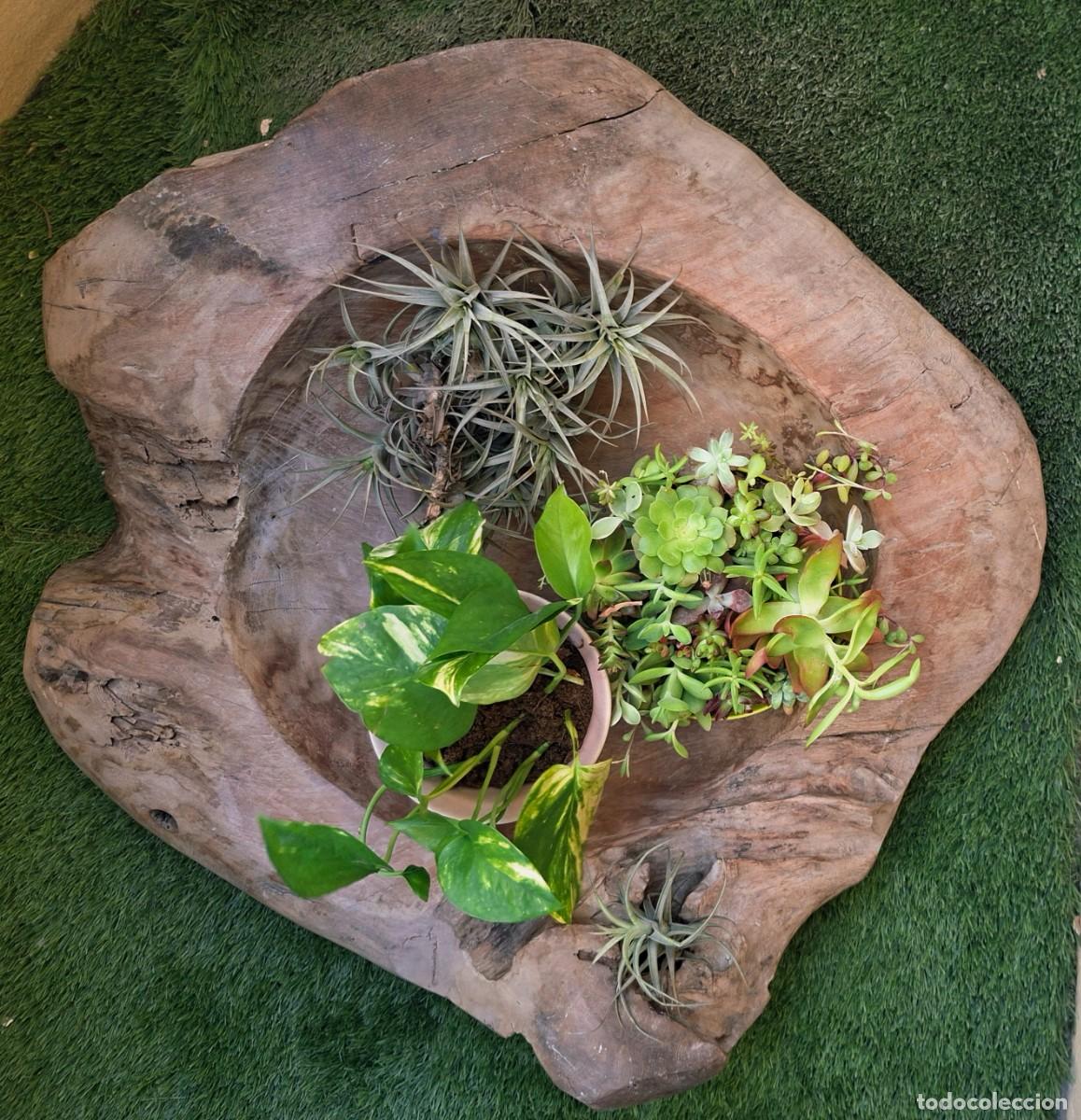 Antig&uuml;edades: Antigua decoraci&oacute;n de madera maciza tallada en una pieza - Artesa jardinera centro mesa le&ntilde;era
