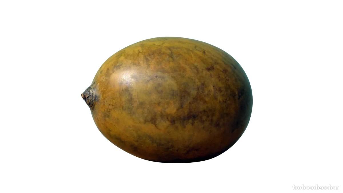 Antiques: Alabaza Antigua - Forma de Huevo, Tribu Maasai, Kenia, &Aacute;frica