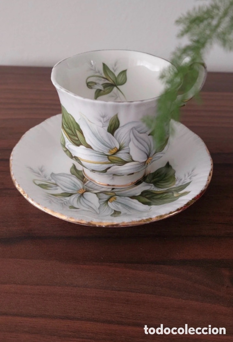 Antig&uuml;edades: Conjunto de antigua raza y platillo de caf&eacute; de porcelana inglesa