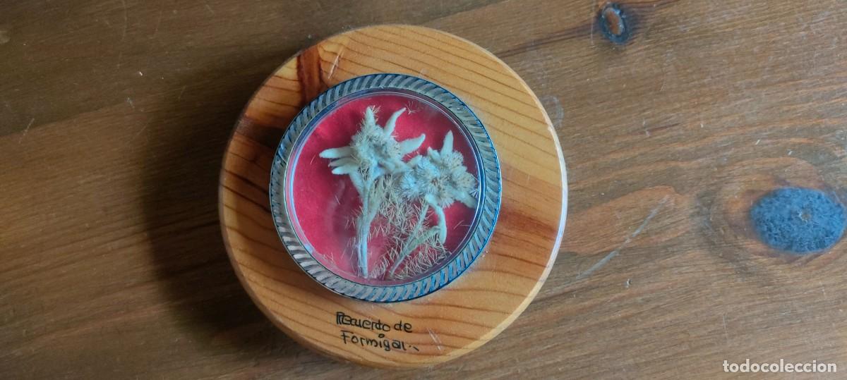 Antig&uuml;edades: Lote de souvenirs variados - Foto 10