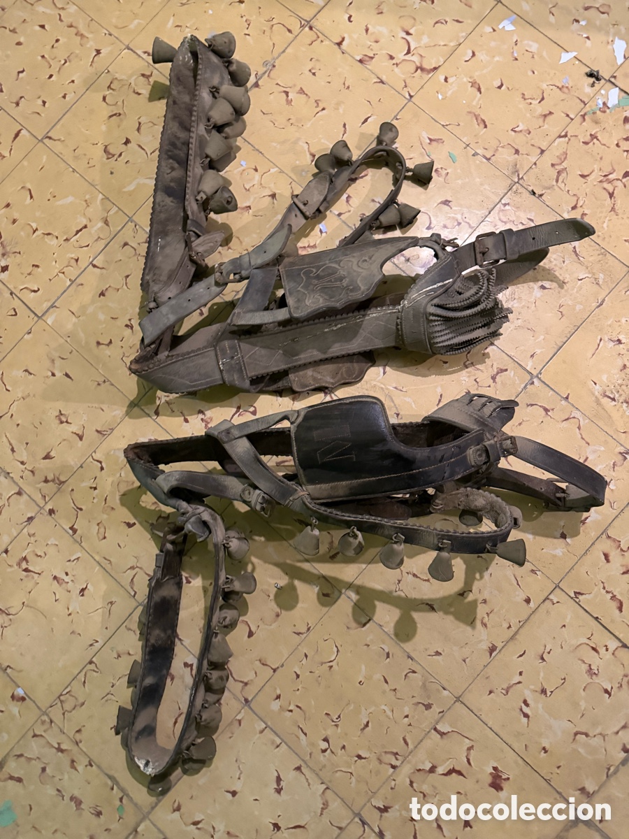 Antig&uuml;edades: 2 antiguas colleras, completas, para cabeza cuello y morro. Campanillas