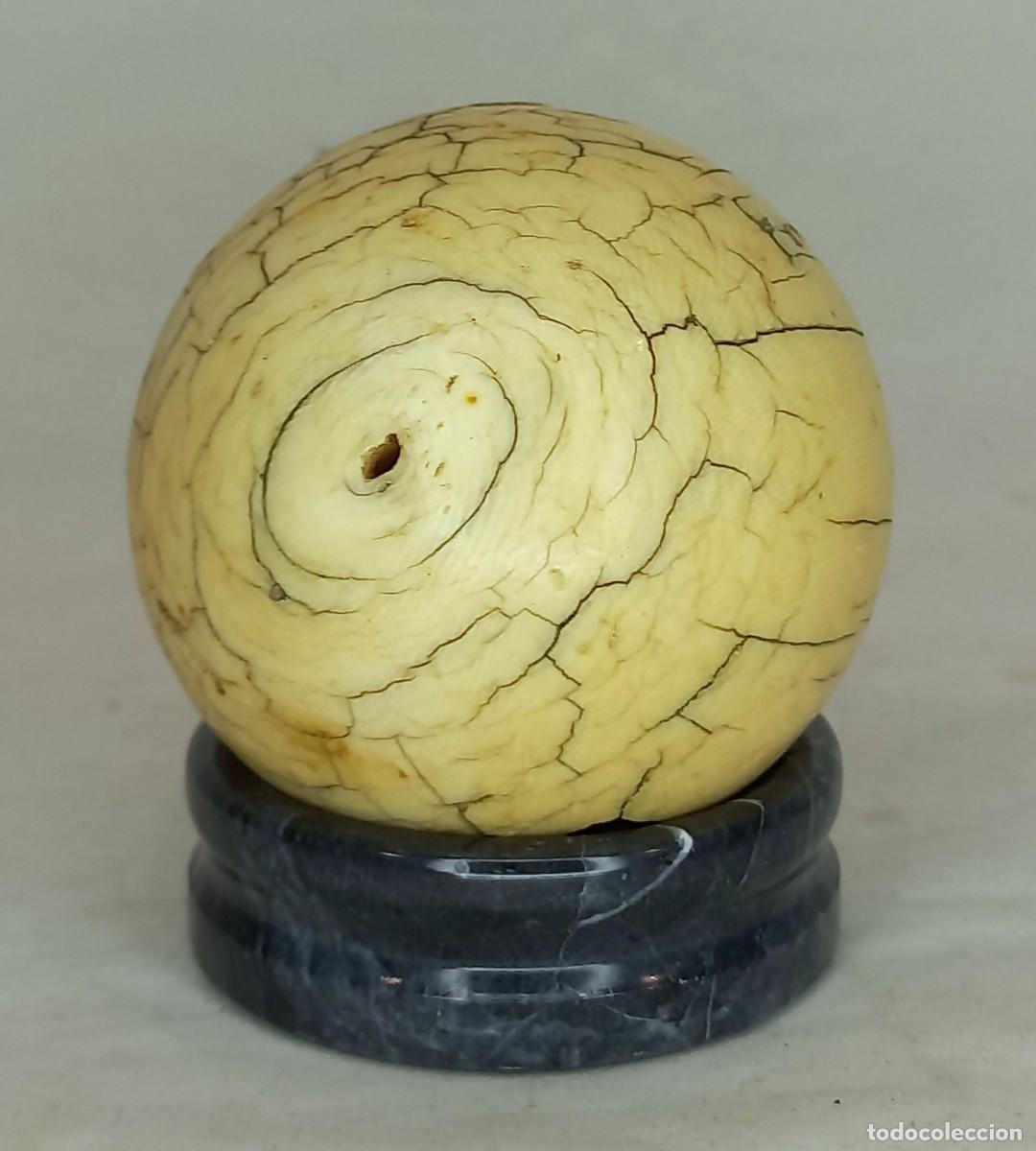 Antig&uuml;edades: ANTIGUA BOLA DE BILLAR DE MARFIL , ORIGINAL DE EPOCA - S. XIX