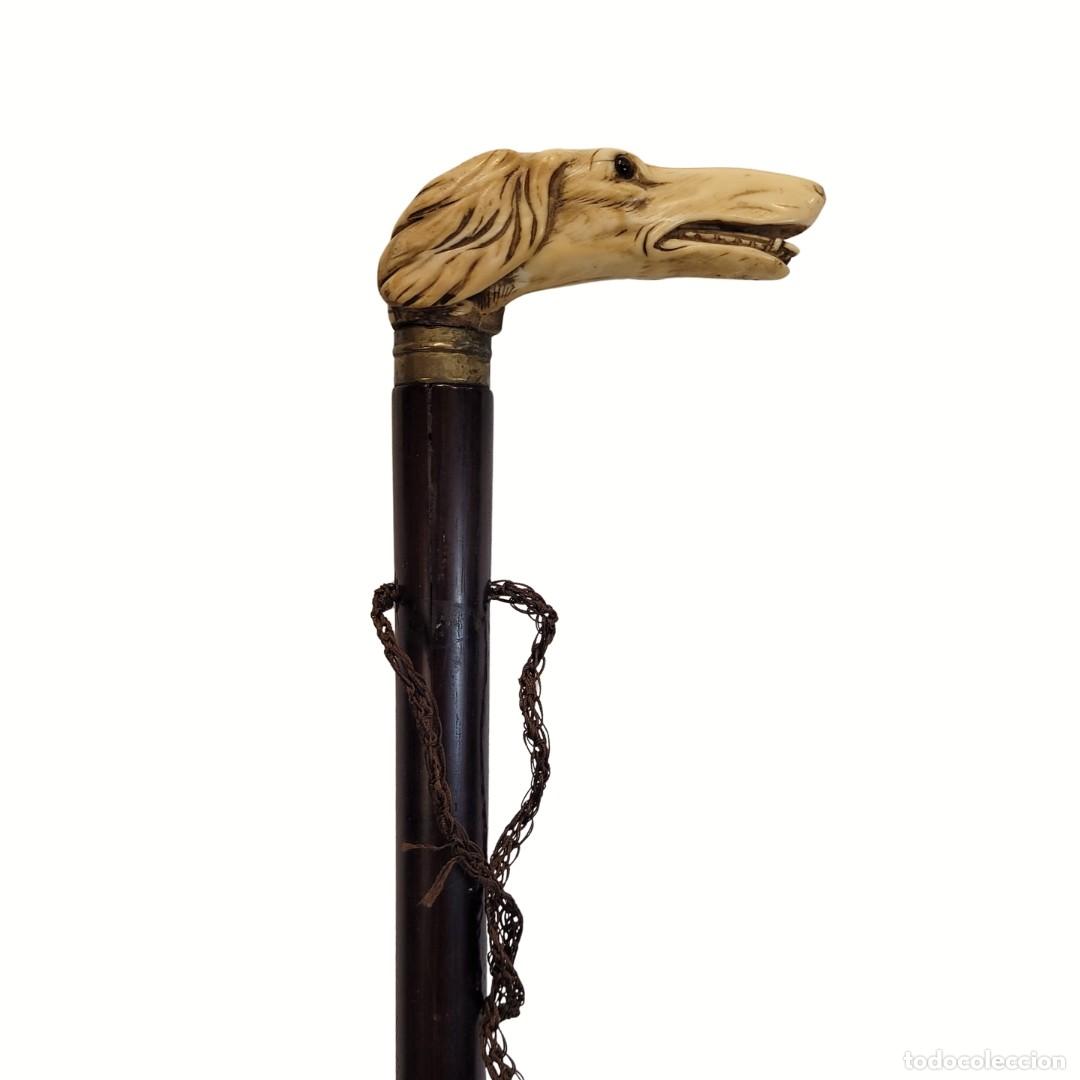 Antig&uuml;edades: Bast&oacute;n con empu&ntilde;adura de busto canino, marfilina y madera, 40&rsquo;s - Francia