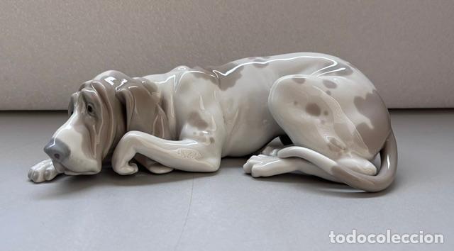 Antig&uuml;edades: Figura de porcelana Lladro de viejo perro sabueso