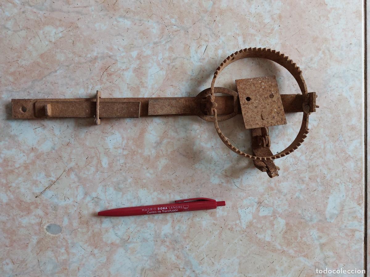 Antig&uuml;edades: Peque&ntilde;o cepo de caza antiguo decorativo. No funcional. S&oacute;lo decoraci&oacute;n