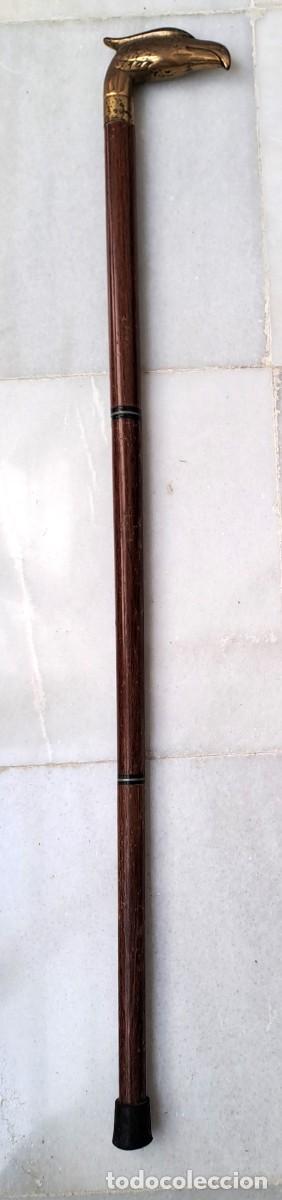 Antig&uuml;edades: BASTON DE MADERA CON EL POMO DE METAL EN FORMA DE CABEZA DE AVE. BASTON-01