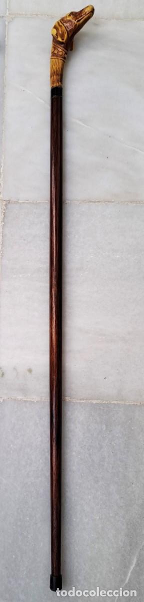 Antig&uuml;edades: BASTON DE MADERA, EL POMO ES DE MATERIAL SINTETICO CON FORMA DE CABEZA DE PERRO. BASTON-02