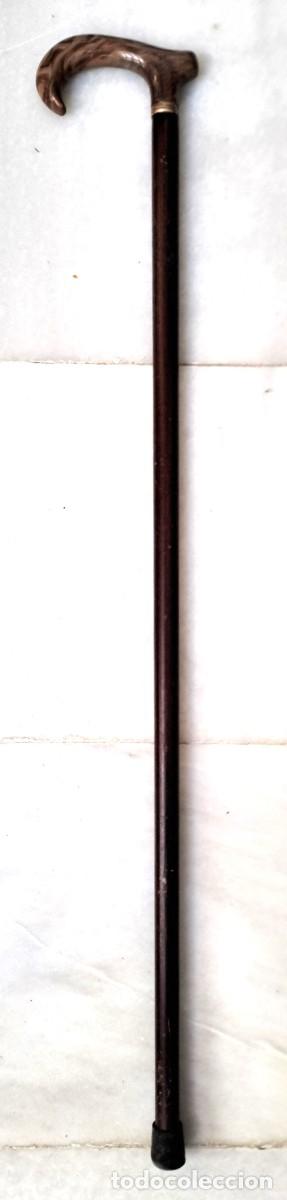 Antig&uuml;edades: BASTON DE MADERA ESTILO CLASICO CON EMPU&Ntilde;ADURA CURVADA DE MATERIAL SINTETICO. BASTON-04