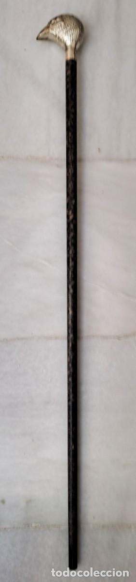 Antig&uuml;edades: BASTON DE MADERA CON EMPU&Ntilde;ADURA DE METAL CON FORMA DE CABEZA DE AVE. BASTON-12