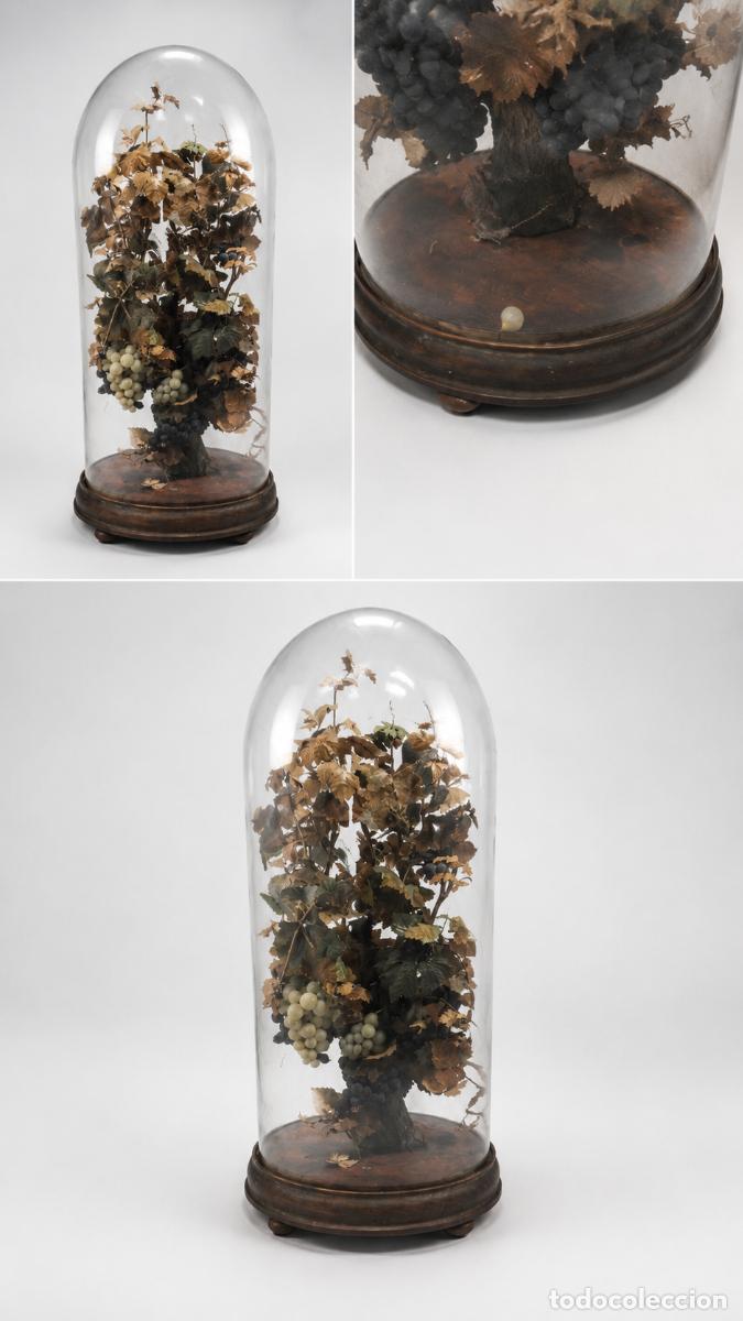 Antig&uuml;edades: Gran urna fanal de vidre bufat amb decoraci&oacute; floral original. Finals segle XIX