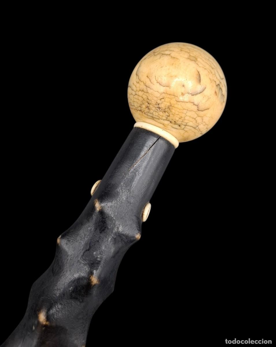 Antig&uuml;edades: BASTON DE COLECCION DE MADERA NUDOSA Y EMPU&Ntilde;ADURA CON BOLA DE MARFIL - CON CITES