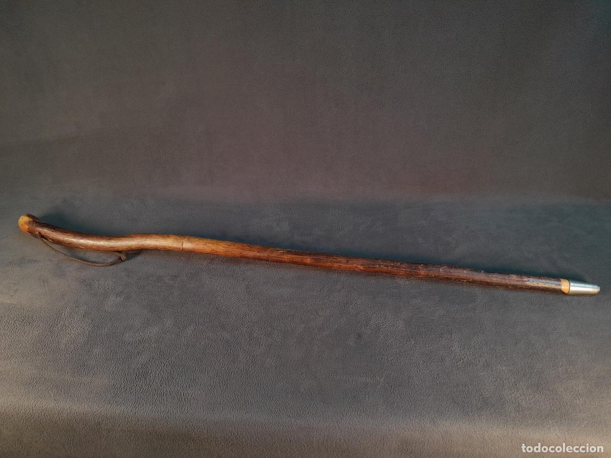 Antiquit&auml;ten: BAST&Oacute;N DE PASEO REALIZADO EN MADERA NATURAL CON CURVATURA ORG&Aacute;NICA. PRINCIPIOS S. XX.