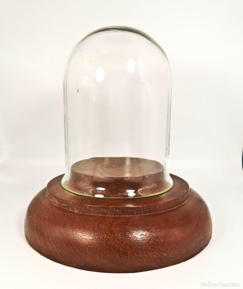 Antig&uuml;edades: FANAL PEQUE&Ntilde;O ANTIGUO CAMPANA DE VIDRIO