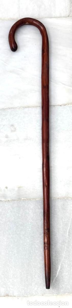 Antig&uuml;edades: BASTON DE MADERA CON EMPU&Ntilde;ADURA CURBA Y TERMAINACION PUNTERA. BASTON-20