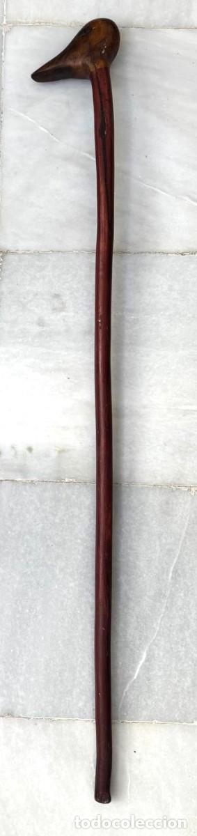 Antig&uuml;edades: BASTON DE MADERA CON EMPU&Ntilde;ADURA DE MADERA TALLADA EN FORMA DE CABEZA DE PATO. BASTON-23