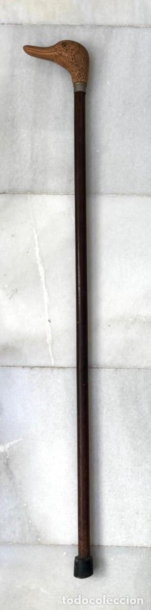 Antig&uuml;edades: BASTON DE MADERA CON EMPU&Ntilde;ADURA DE MATERIAL SINTETICO EN FORMA DE CABEZA DE PATO. BASTON-24