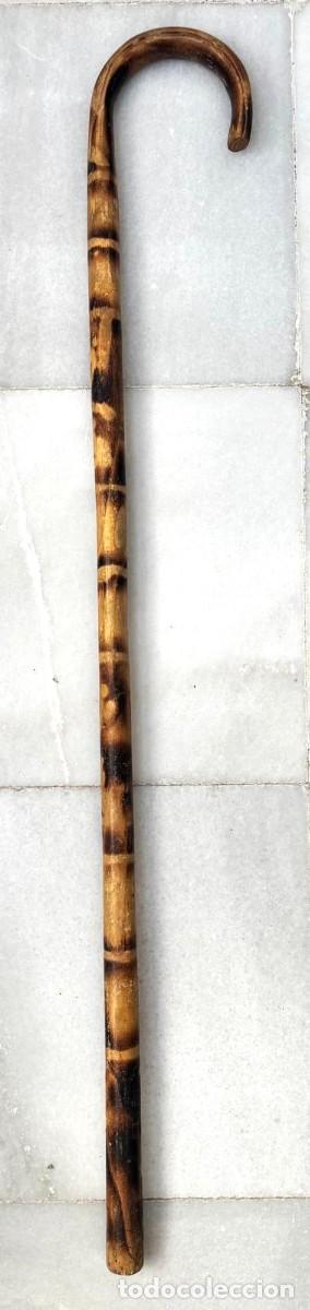 Antig&uuml;edades: BASTON DE MADERA RUSTICO Y EMPU&Ntilde;ADURA CURVA. BASTON-29